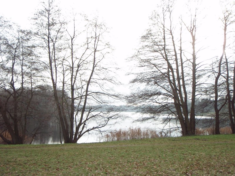 Waldtour 065